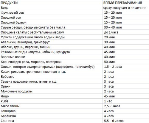 Сколько времени переваривается пища в желудке человека